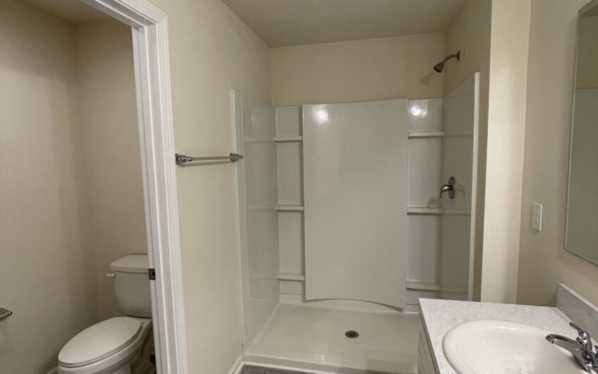 159 Redbud Road, Palm Coast, FL 32137 – The Trails