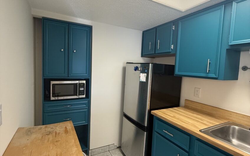 112 S. 7th Street, Unit 9, Flagler Beach, FL 32136